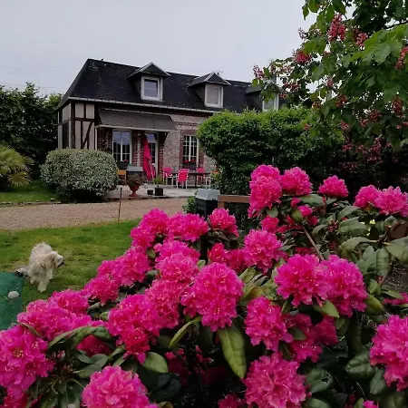 Apartment Les Goelands Etretat And Fecamp Saint-Léonard