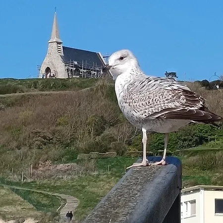 Les Goelands Etretat And Fecamp Apartment *